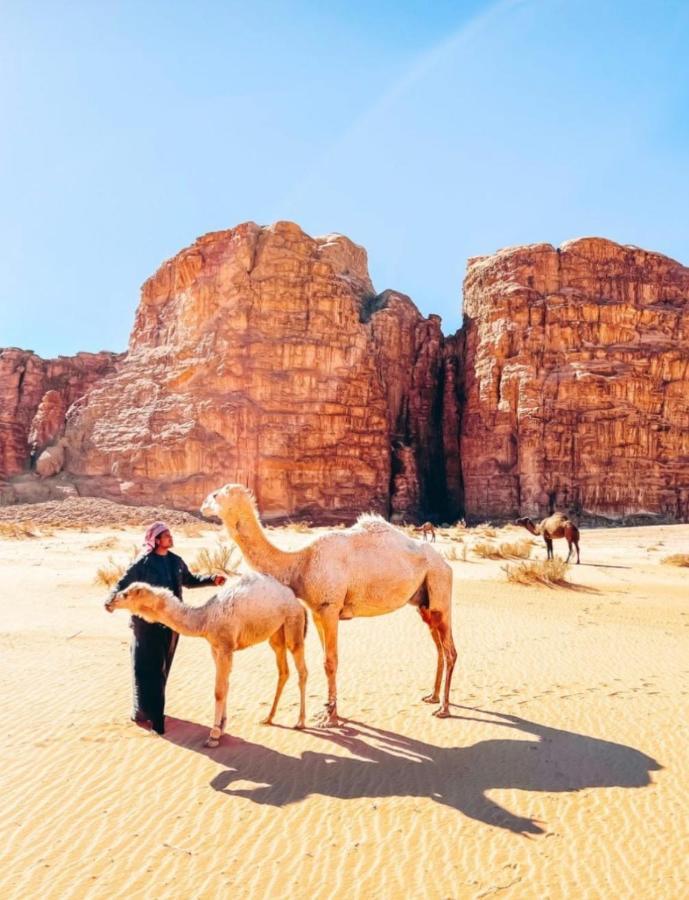 Wadi Rum Tents Екстер'єр фото